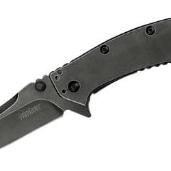 Kershaw, Cryo, 2.75" Assisted Folding Knife